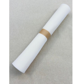 Entoilage Mousse Résille. Blanc (Coupon Petit Format) - Tissus LM