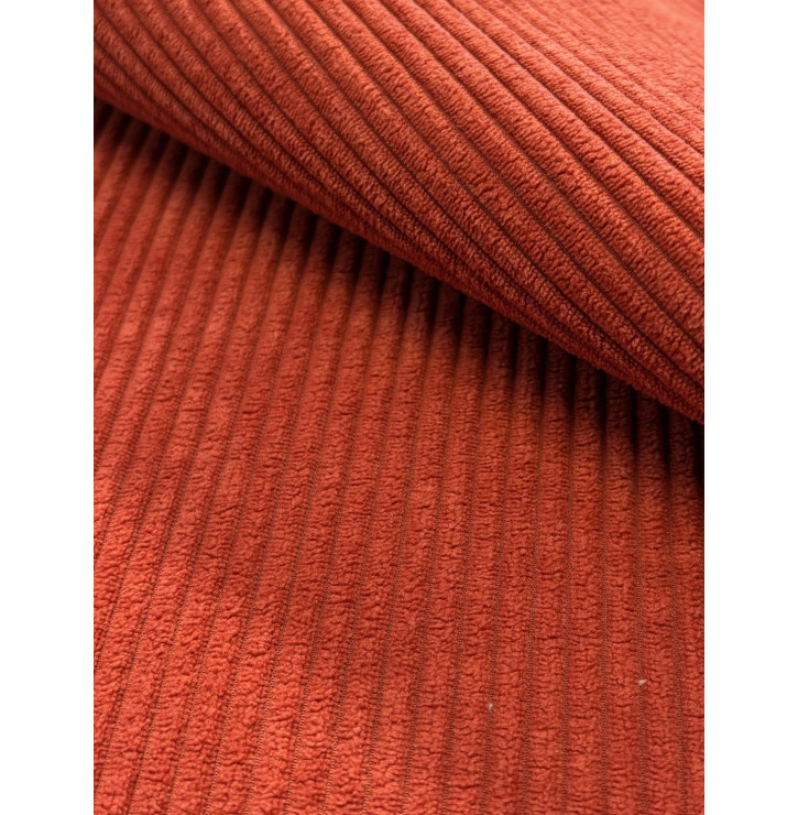 Coupon Tissu – Velours Côtelé 5 mm : Terracotta (400 g/m²) – 50 x 140 cm – Tissu d’Ameublement Coupon Tissu – Velours Côtelé 5 mm : Terracotta (400 g/m²) – 50 x 140 cm – Tissu d’Ameublement