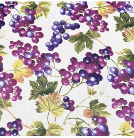 Coupon Coton Enduit « Muscat » Violet