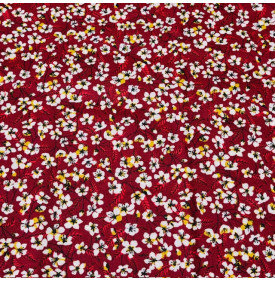 Coupon Coton Enduit « Miyu » – Rouge