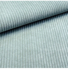 Tissu Velours Côtelé / Moyennes Cotes 5 mm - Bleu Lichen