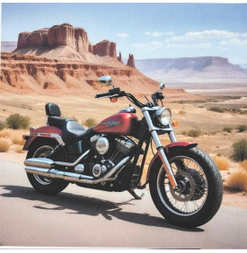 Motif placé en 100% coton, avec impression digitale haute définition, format 45 x 45 cm