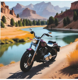 Motif Placé Coton / Moto Vintage Canyon – Rouge & Noir