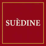 Suédine douce – Coupons pour accessoires et créations | Tissus LM