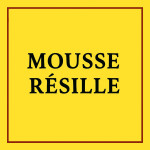 • Coupons Mousse Résille